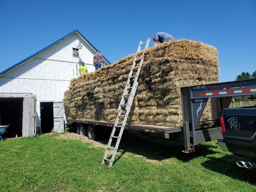 Hay, 08-02-2020, #1.jpg