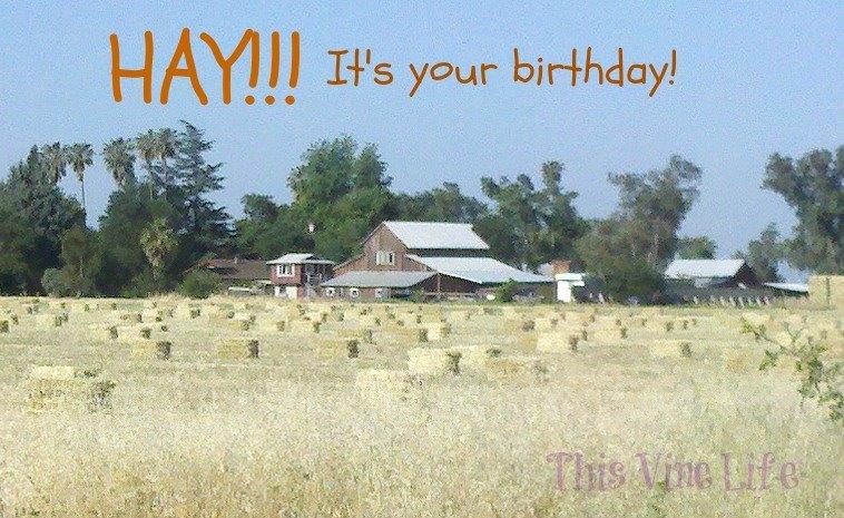 Hay Birthday.jpg