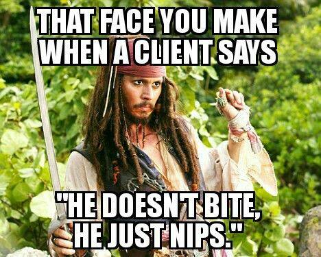 he just nips.jpg