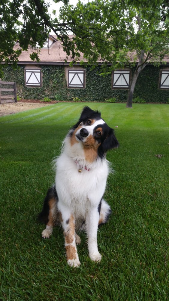 head tilt.jpg