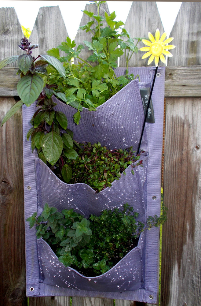 Herb Garden.jpg