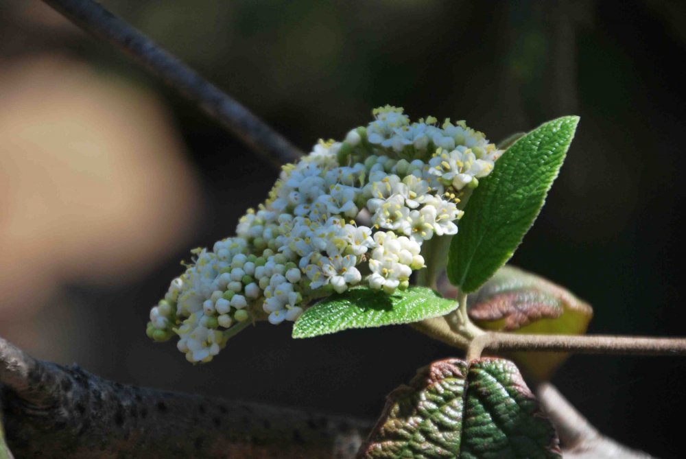 hhp (22)_edited-1.jpg