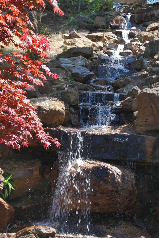 hhp (27)_edited-1.jpg