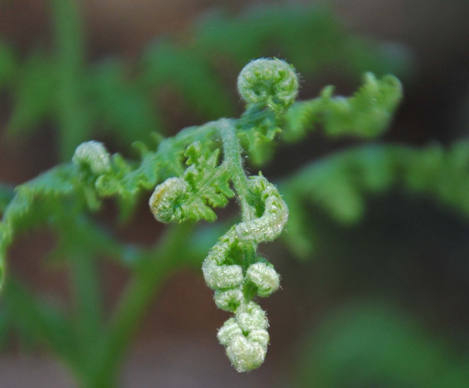 hhp (54)_edited-1.jpg