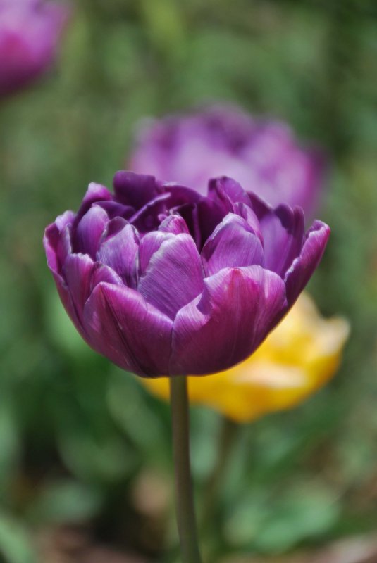 hhp (67)_edited-1.jpg