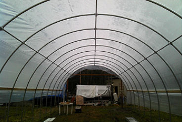 High Tunnel No (1).png