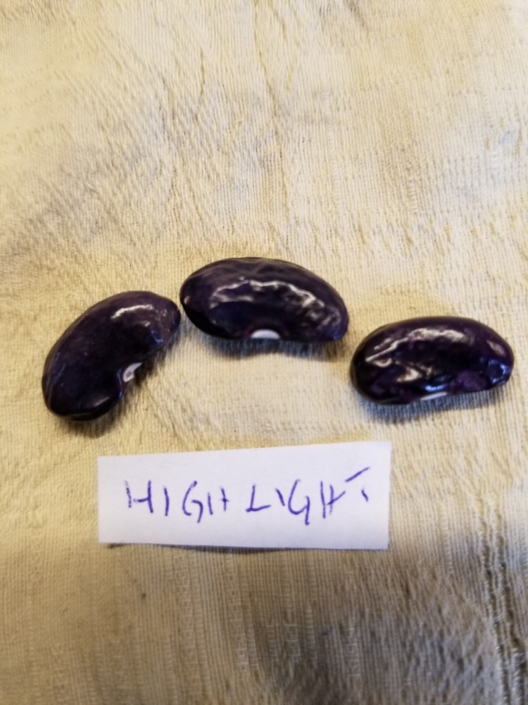 Highlight Beans.jpg