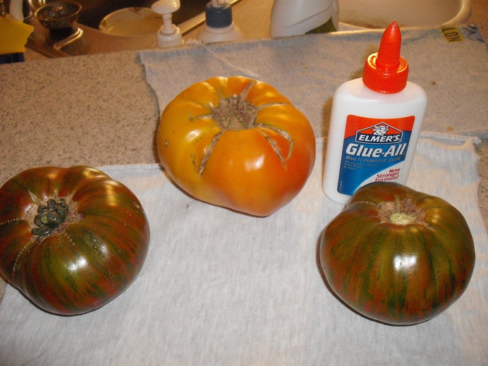 Hillbilly Chocolate.JPG