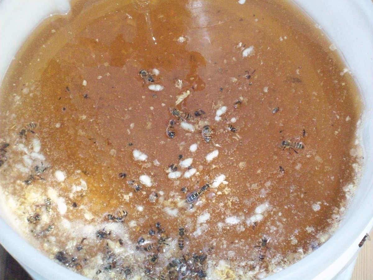 honey harvest sept 2017 019 part 2 (5).JPG