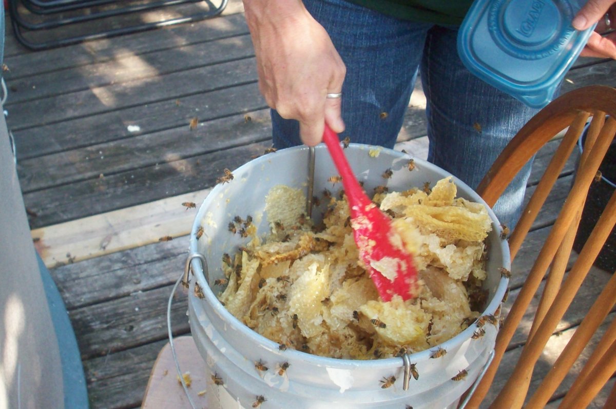 honey harvest sept 2017 029 part 2  (1).JPG