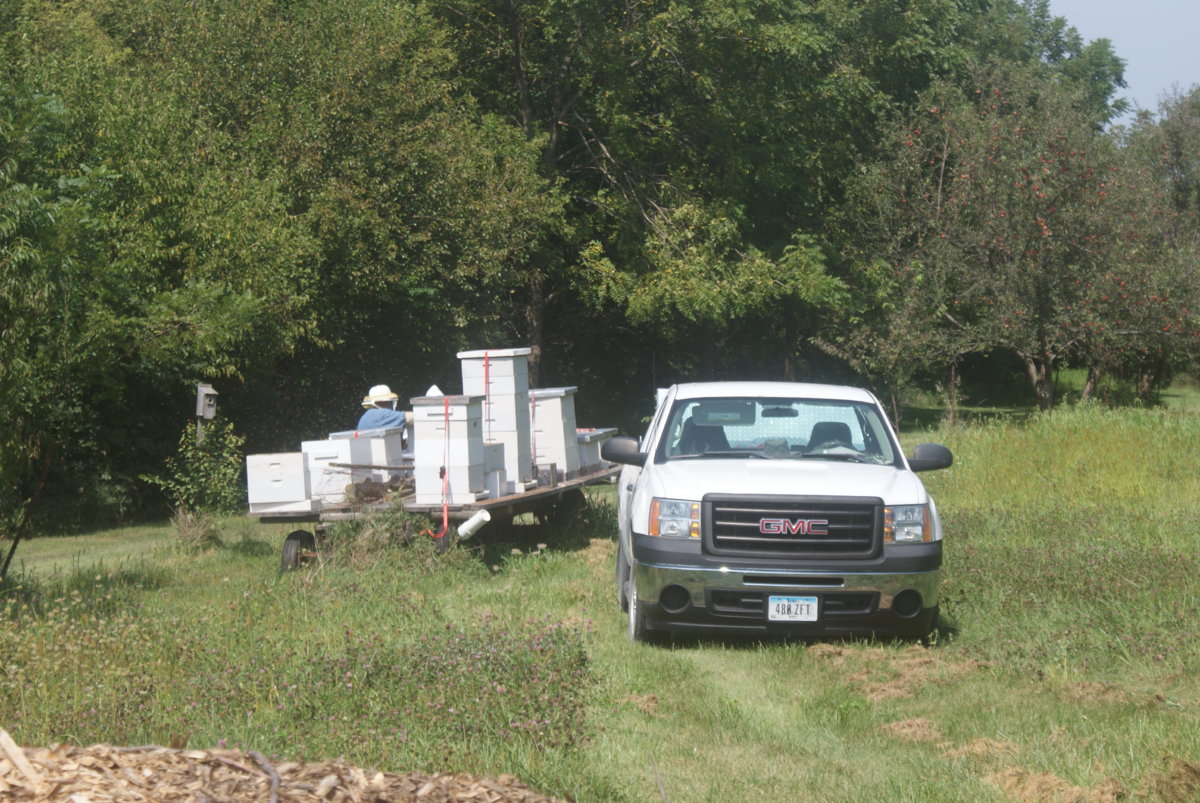 honey harvest sept 2017 036.JPG