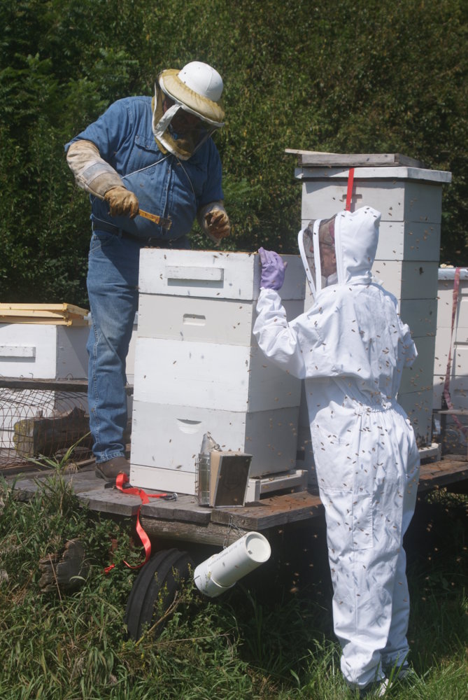 honey harvest sept 2017 056.JPG