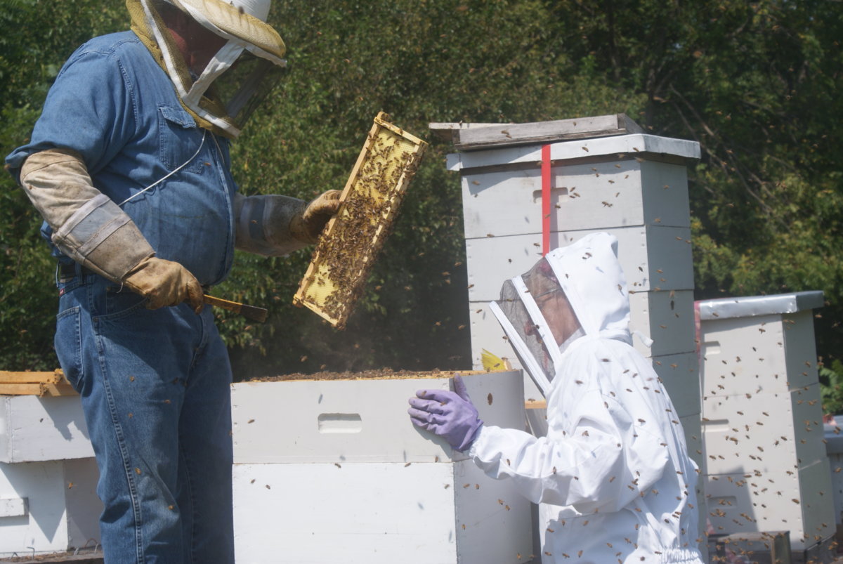 honey harvest sept 2017 059.JPG