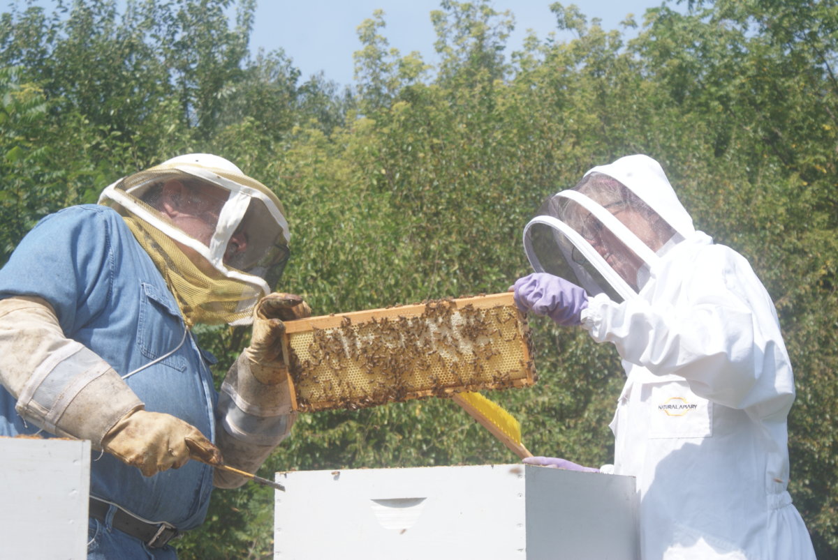 honey harvest sept 2017 065.JPG