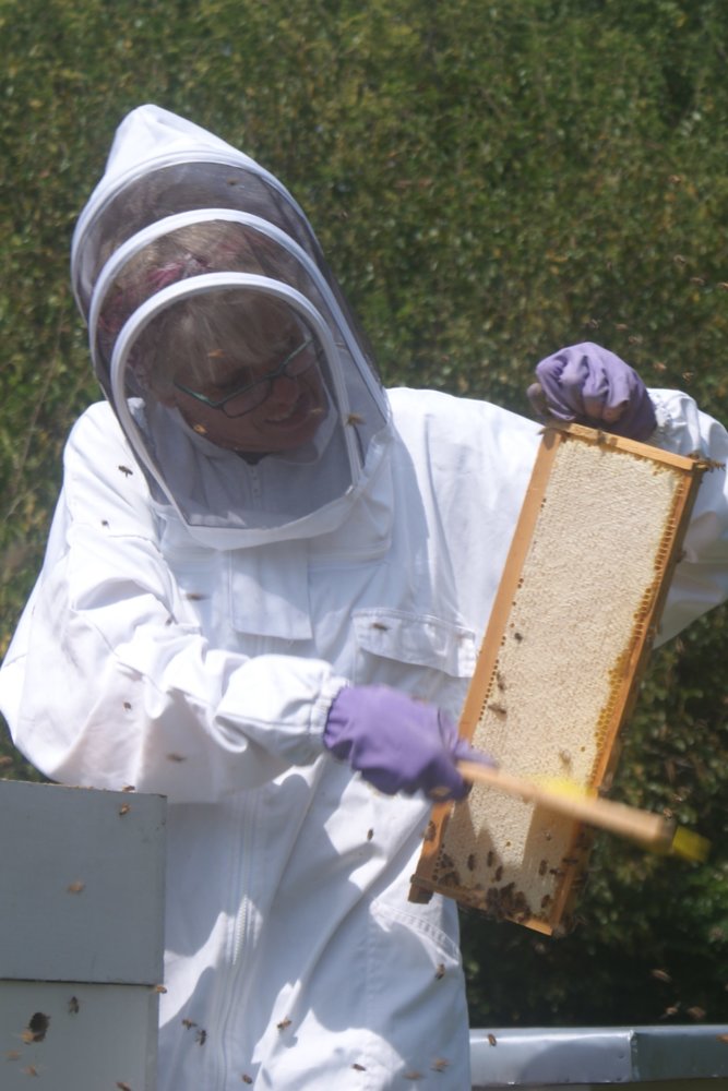 honey harvest sept 2017 067.JPG