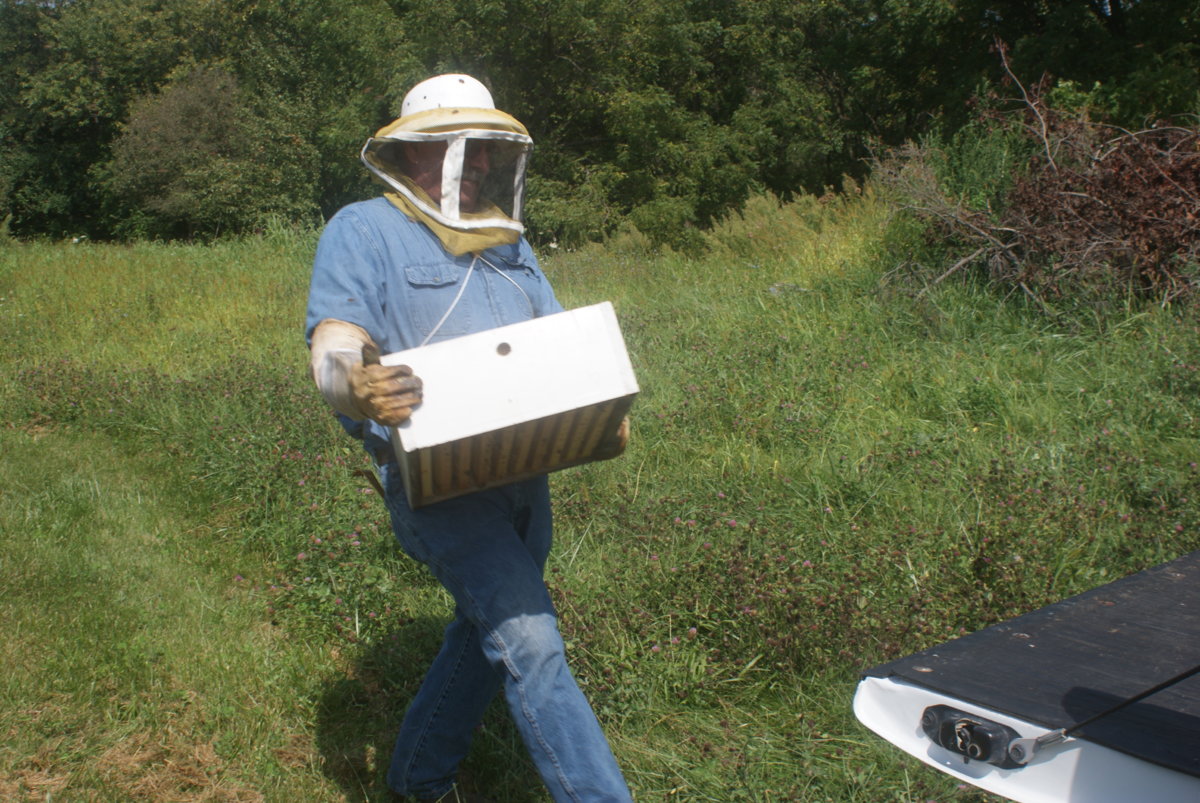 honey harvest sept 2017 072.JPG