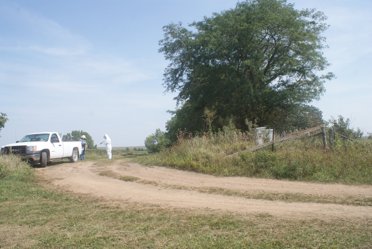 honey harvest sept 2017 078.JPG