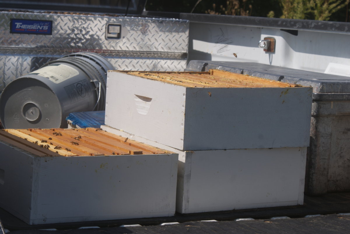honey harvest sept 2017 104.JPG