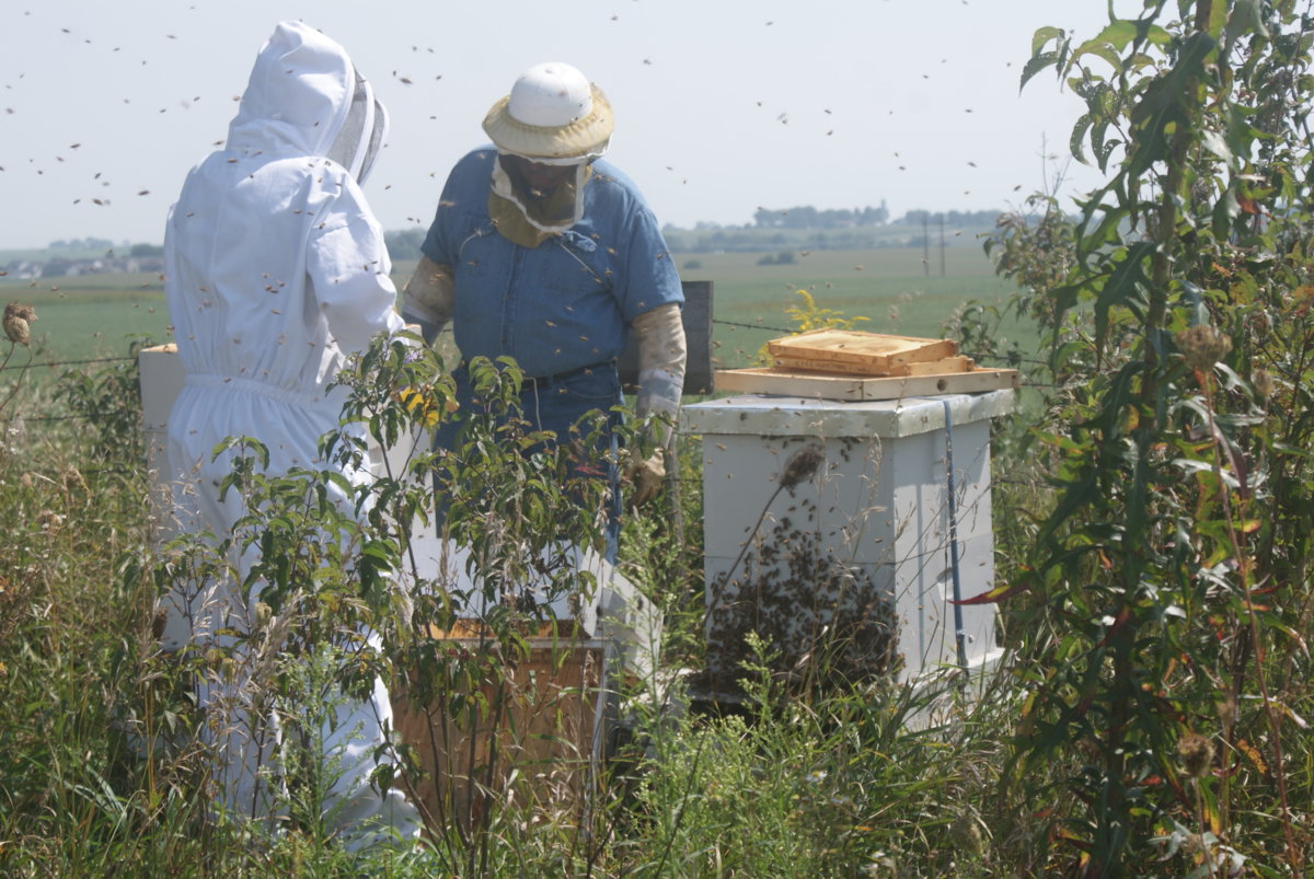 honey harvest sept 2017 113.JPG