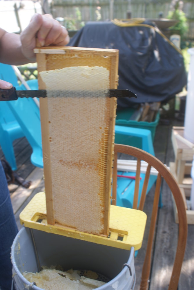 honey harvest sept 2017 150.JPG