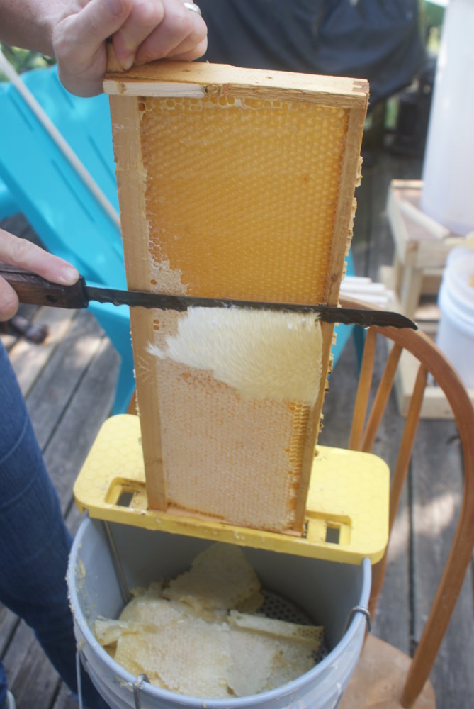honey harvest sept 2017 151.JPG