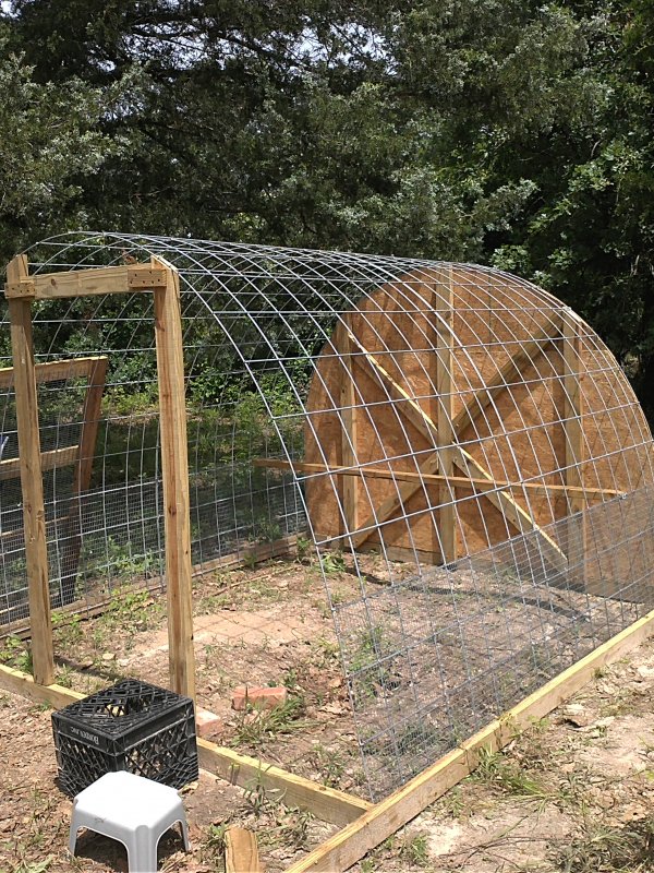 Hop door frame.jpg