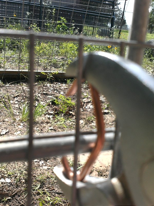 Hop hog ring wire.jpg