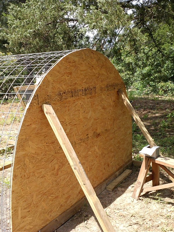 Hop prop back.jpg
