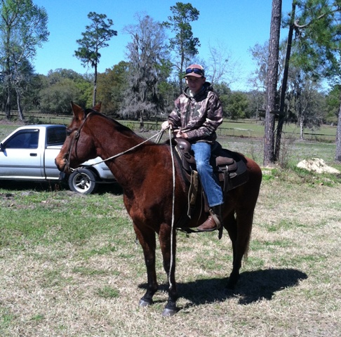 horse 2.jpg