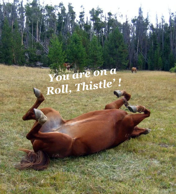 horse roll copy.jpg