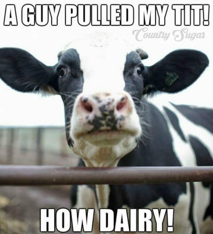 How dairy.jpg