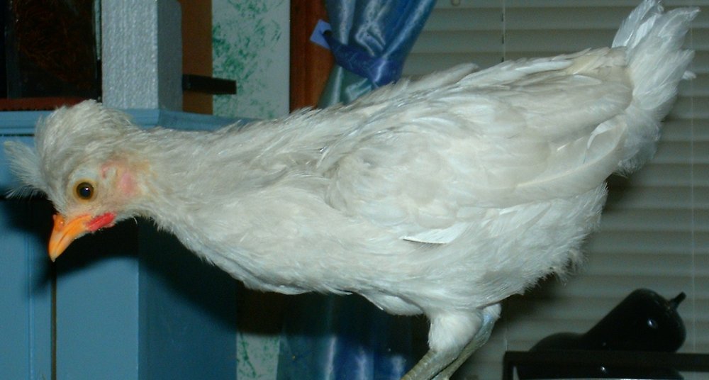HPIM0156.JPG