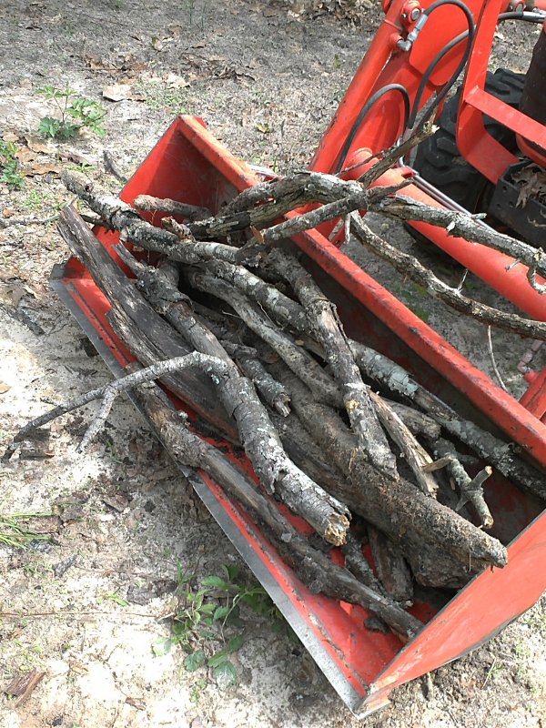 Hugel bucket of branches.jpg