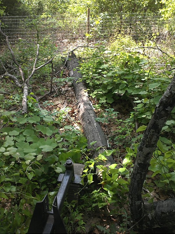 Hugel find log.jpg