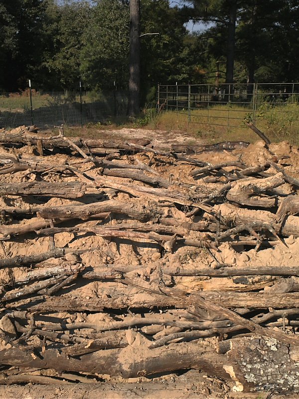 Hugel half dirt.jpg