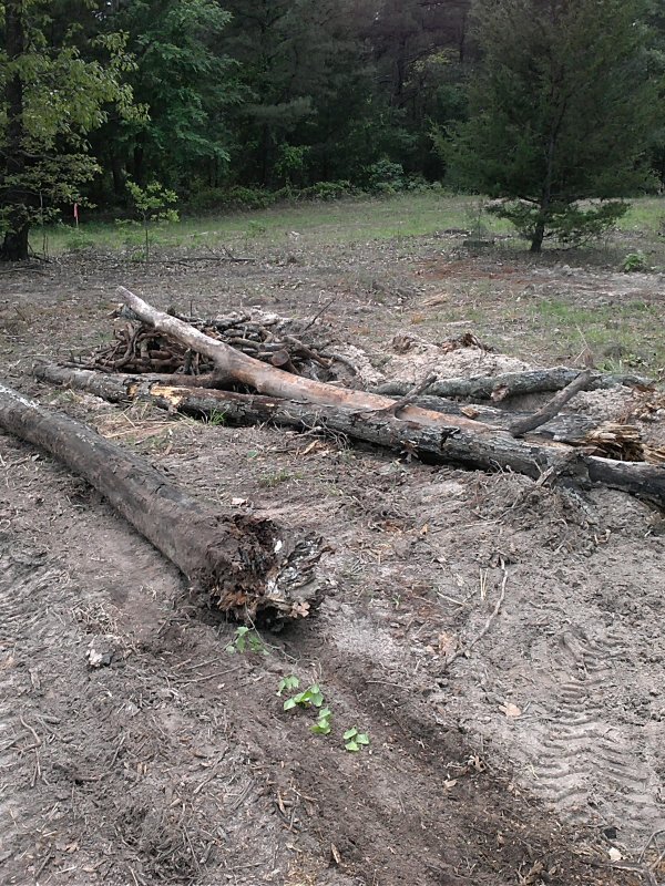 Hugel pile 4-16-15.jpg