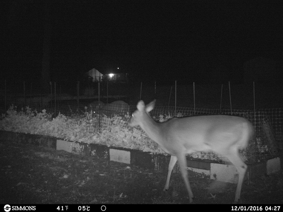 HUNT0003.JPG
