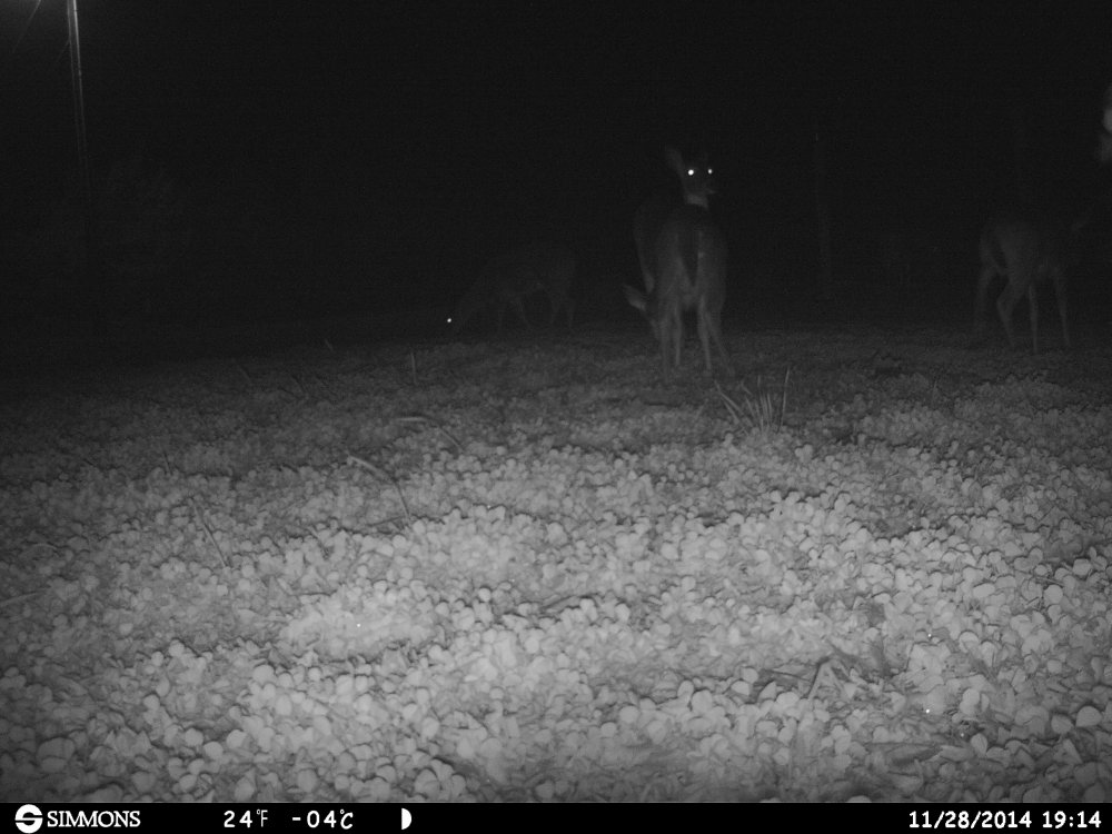 HUNT0012.JPG