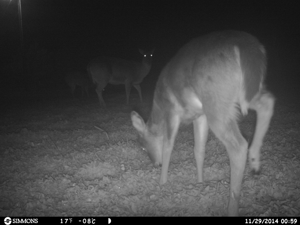 HUNT0013.JPG