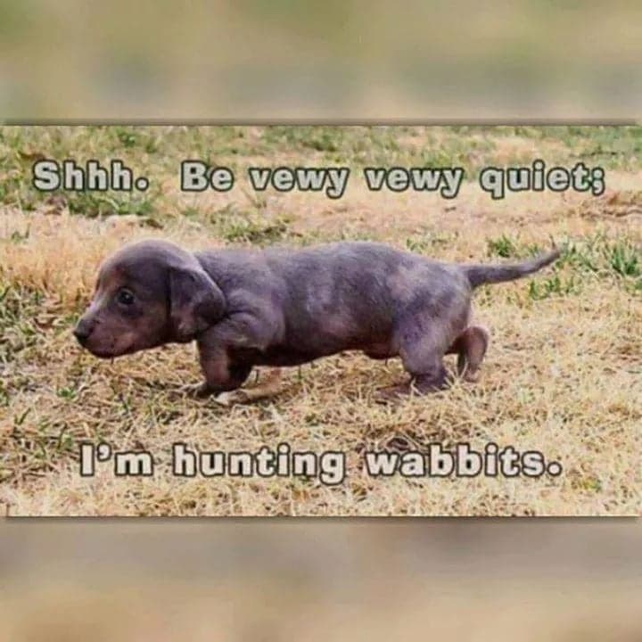 hunting wabbits.jpg