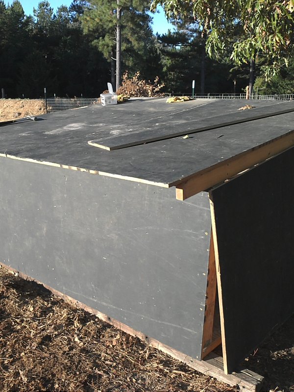 Hut back top.jpg