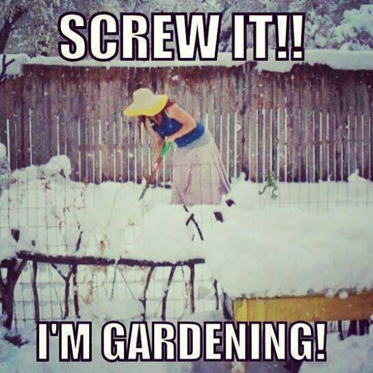 I am gardening.jpg
