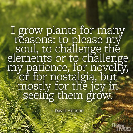 I grow plants for many reasons.jpg