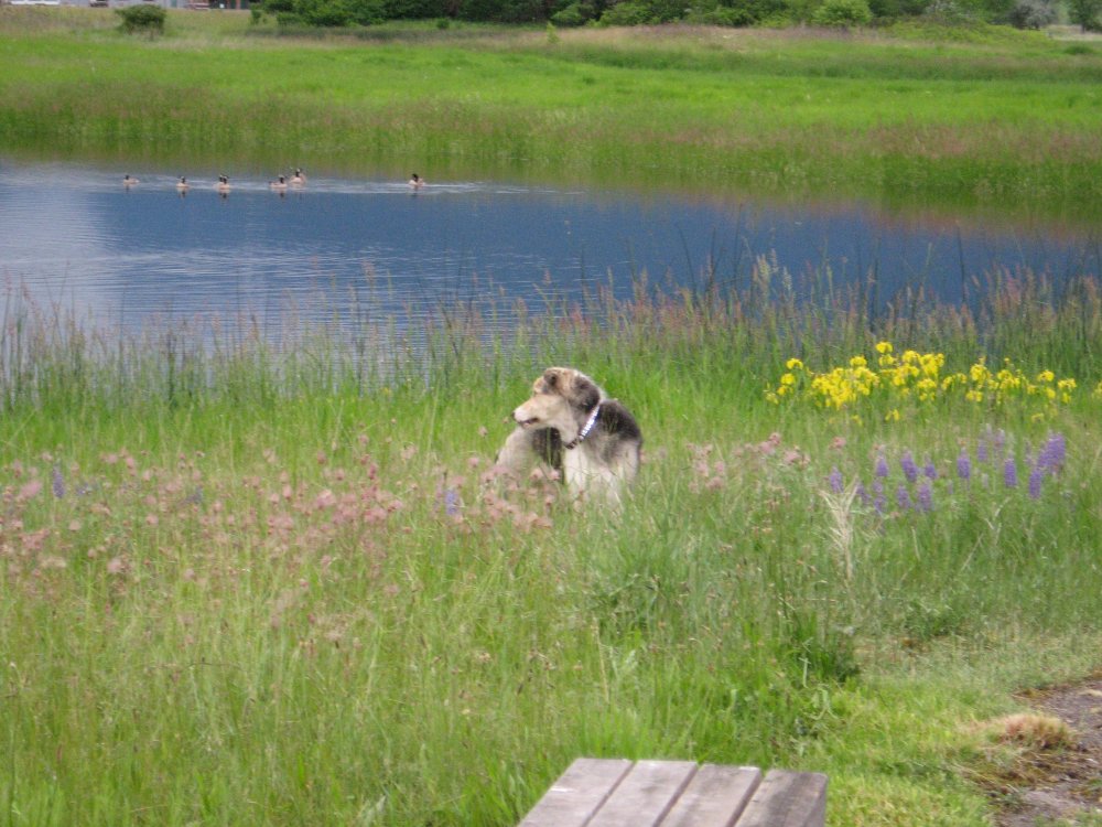 idaho trip 021.JPG