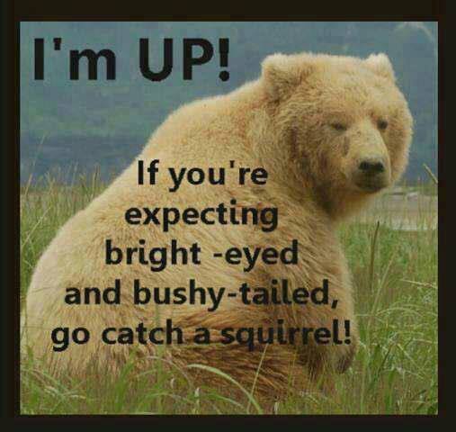 I'm up.jpg