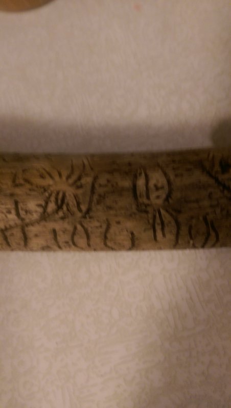 IMAG0806.jpg