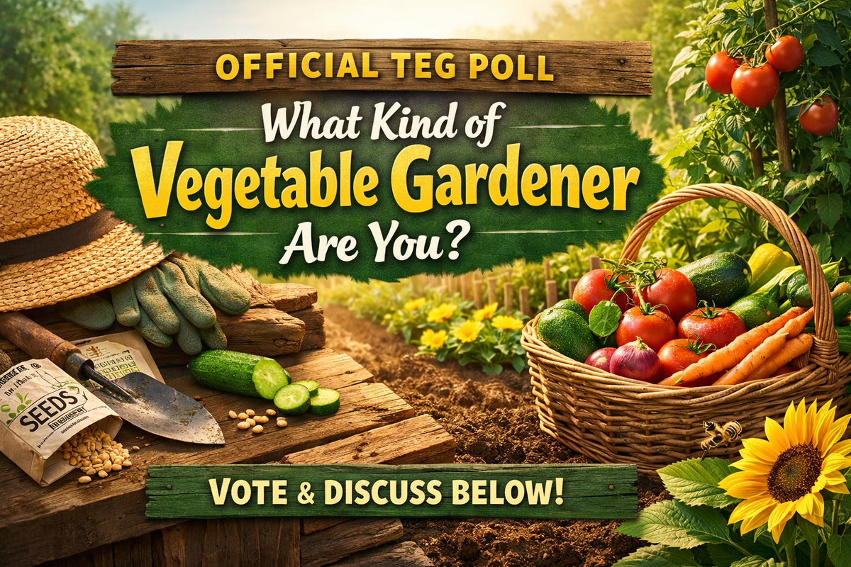 Image Feb 27, 2026, 12_28_43 PM.png