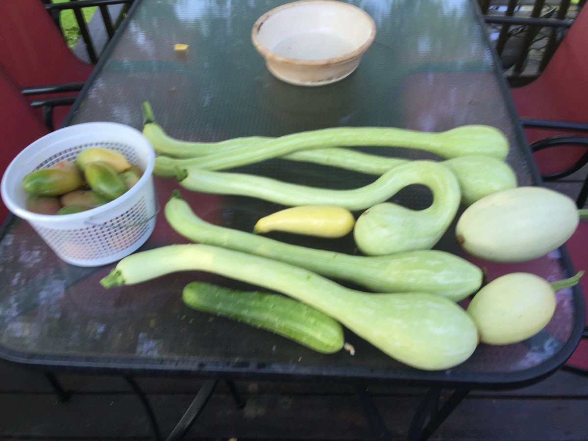 image.jpeg
