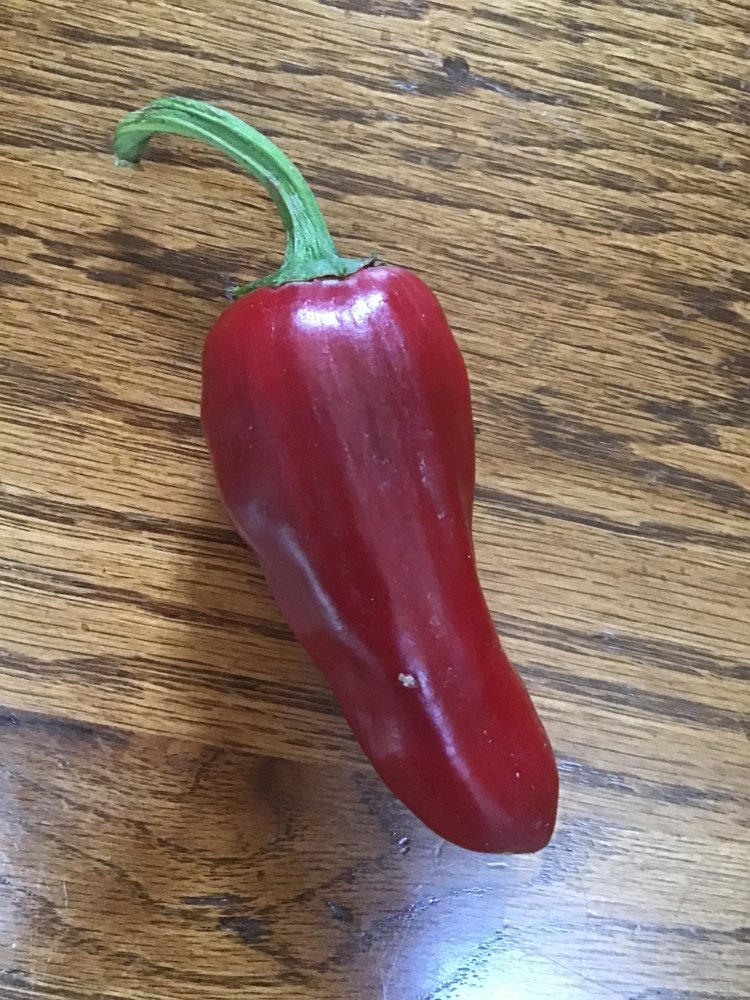 image.jpg