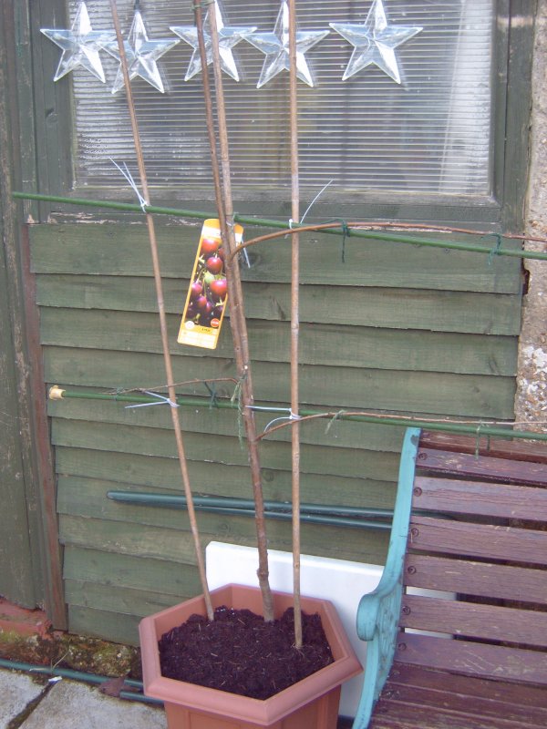 IMG00005.JPG